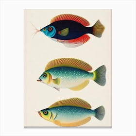 Quillfish Vintage Poster Canvas Print