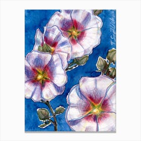 White Hollyhocks On Blue Canvas Print