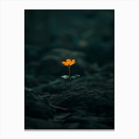 Single Flower In The Dark 89 Canvas Print