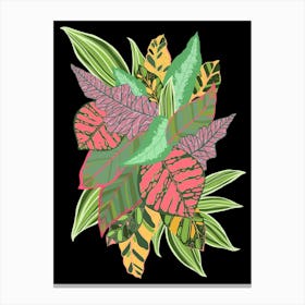 Colourful leaf burst Canvas Print