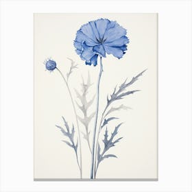 Blue Botanical Cornflower 1 Canvas Print