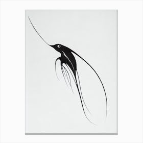Vampire Squid Black & White Drawing Canvas Print