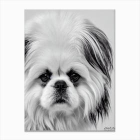 Pekingese B&W Pencil dog Canvas Print