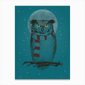 Winter Owl Ii Canvas Print