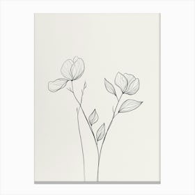 Flower Drawing 1 Canvas Print