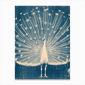 White & Blue Peacock Inspired Canvas Print