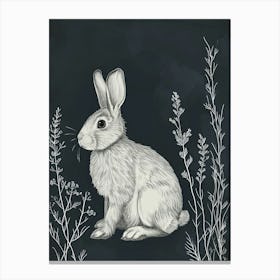 New Zealand Rabbit Minimalist Illustration 1 Canvas Print