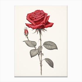 Roses Flower Vintage Botanical 0 Canvas Print