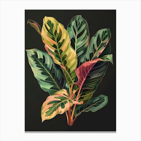 Tropical Plant 4 Canvas Print