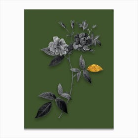 Vintage Hudson Rosehip Black and White Gold Leaf Floral Art on Olive Green Canvas Print