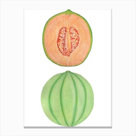 Cantaloupe Melon Canvas Print