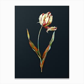 Vintage Didier's Tulip Botanical Watercolor Illustration on Dark Teal Blue n.0261 Canvas Print