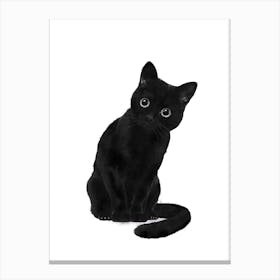 Spooky Cute Cat Canvas Print