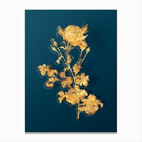 Vintage Celery Leaved Cabbage Rose Botanical in Gold on Teal Blue n.0227 Canvas Print
