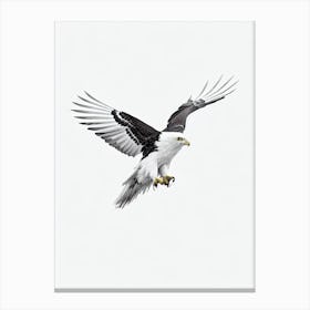 Eagle B&W Pencil Drawing 3 Bird Canvas Print