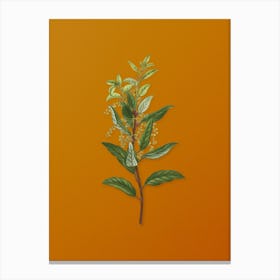Vintage Evergreen Oak Botanical on Sunset Orange Canvas Print