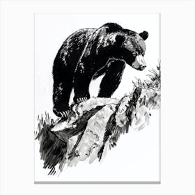 Malayan Sun Bear Walking On A Mountain Ink Illustration 4 Canvas Print