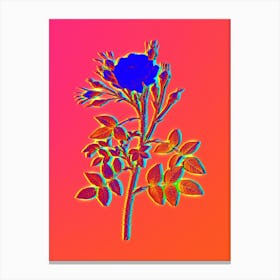 Neon White Rose of Rosenberg Botanical in Hot Pink and Electric Blue n.0273 Canvas Print