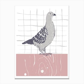 Homing Pigeon Canvas Print
