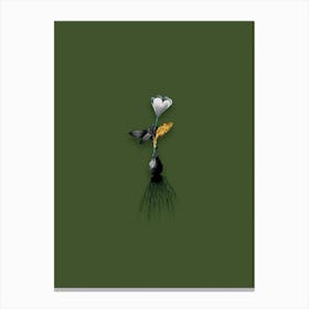 Vintage Cape Tulip Black and White Gold Leaf Floral Art on Olive Green n.0259 Canvas Print