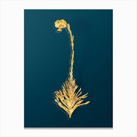 Vintage Scarlet Martagon Lily Botanical in Gold on Teal Blue n.0239 Canvas Print