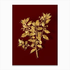 Vintage Evergreen Oak Botanical in Gold on Red n.0597 Canvas Print
