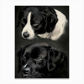 Black And White Dogs Canvas Print