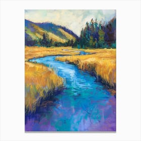 River In The Meadow 1 Canvas Print