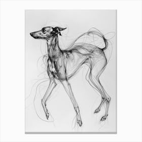Greyhound Dog Charcoal Line 2 Canvas Print