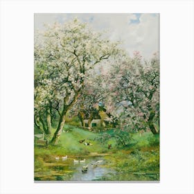 Blossoming Cherry Trees Canvas Print