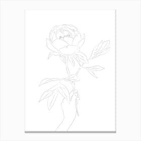 Line Peony Flower Canvas Print