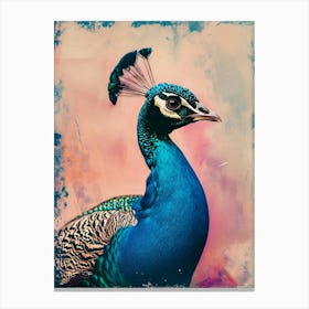 Peacock Polaroid Inspired 3 Canvas Print