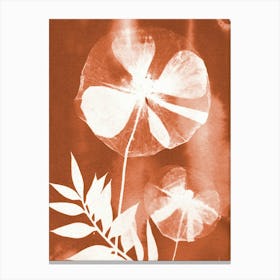 Bronze Poppy Canvas Print