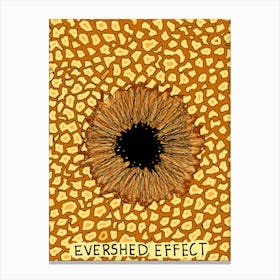 Evershed Effect Sun Spot Science lover Astrophysics Canvas Print