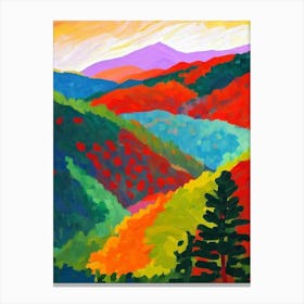 Great Smoky Mountains National Park 1 United States Of America Abstract Colourful Canvas Print