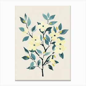 Dogwood Tree Flat Illustration 8 Canvas Print