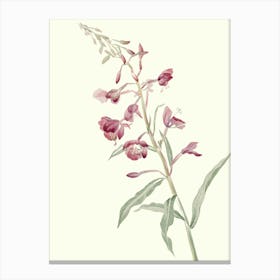 Pink Flowers Canvas Print