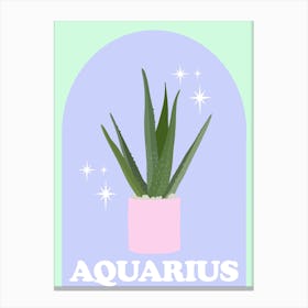 Botanical Star Sign Aquarius Canvas Print