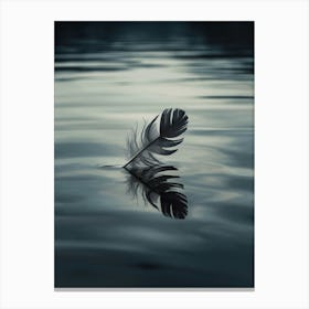 Feather In Water 1 Canvas Print