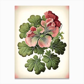Geranium 2 Floral Botanical Vintage Poster Flower Canvas Print