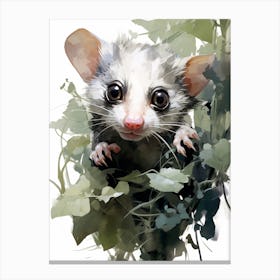 Adorable Chubby Curious Possum 3 Canvas Print
