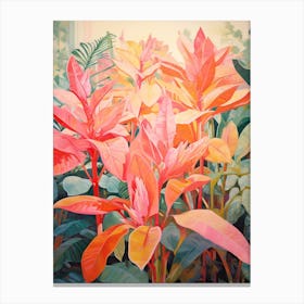 Tropical Plant Painting Rubber Tree Plant 5 Canvas Print