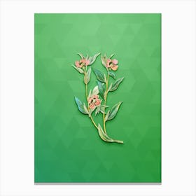 Vintage Long Branched Enothera Botanical Art on Classic Green n.0308 Canvas Print