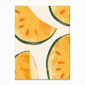 Cantaloupe Close Up Illustration 3 Canvas Print