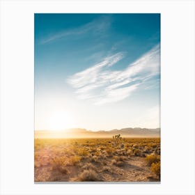 Nevada Desert Sunrise Canvas Print