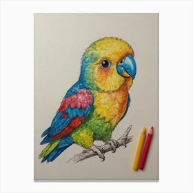 Colorful Parrot 38 Canvas Print