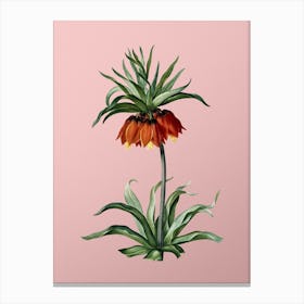 Vintage Fritillaries Botanical on Soft Pink n.0920 Canvas Print