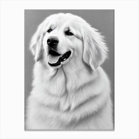 Great Pyrenees B&W Pencil dog Canvas Print