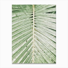 Palm Leaf 7 Canvas Print