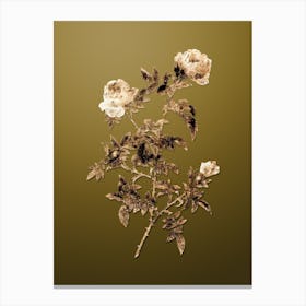 Gold Botanical Rose of the Hedges on Dune Yellow n.4532 Canvas Print